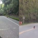 Ejército neutralizó tres explosivos atribuidos al ELN durante el paro armado