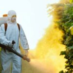 Gobierno Petro reactiva fumigación con glifosato en zonas de conflicto