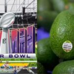Super Bowl impulsa el posicionamiento del aguacate Hass colombiano